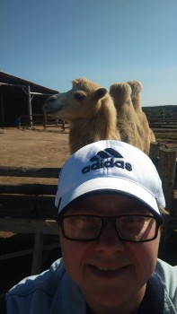 Фото девушки Светлана