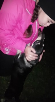 Фото девушки Анила