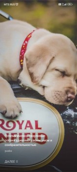 Фото мужчин Олег