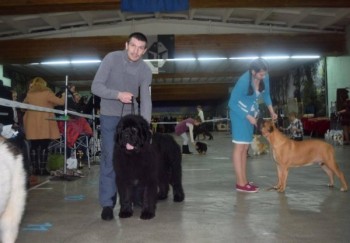 С, лет, Домодедово. Анкета на сайте знакомств