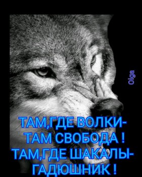 Фото мужчины
