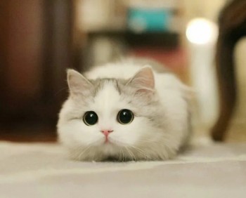 Фото мужчин Ваня