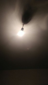 Фото мужчины