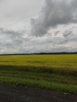 Фото девушки Оксана