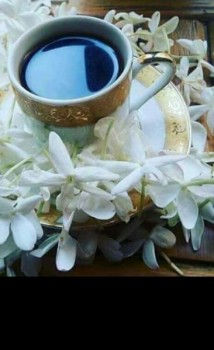 Фото девушки Людмила