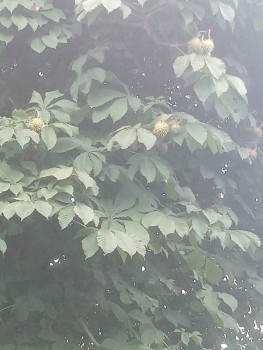 Фото мужчин Даниил