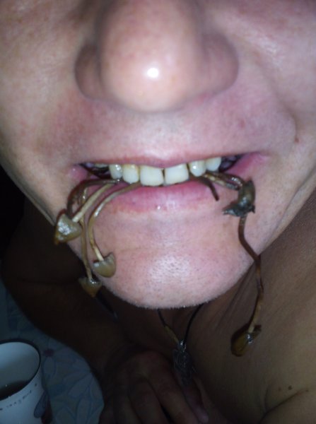 Знакомство. Фото. Нажмите, чтобы увеличить