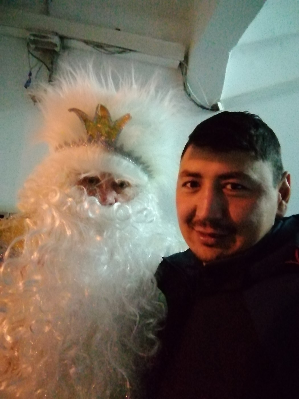 Знакомство. Фото. Нажмите, чтобы увеличить