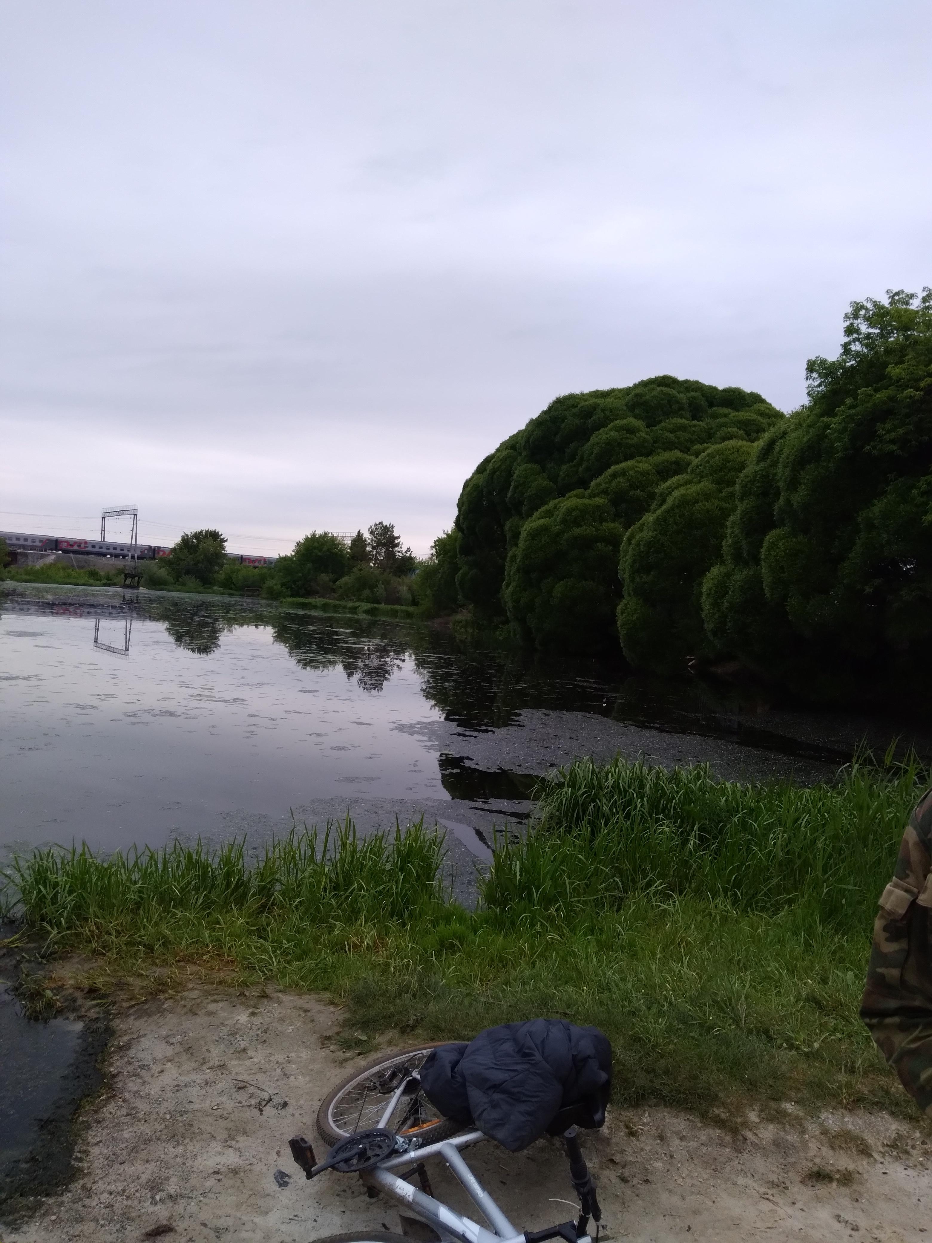 Знакомство. Фото. Нажмите, чтобы увеличить