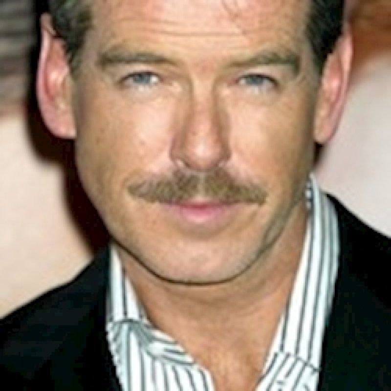 Знакомство. Фото. Нажмите, чтобы увеличить