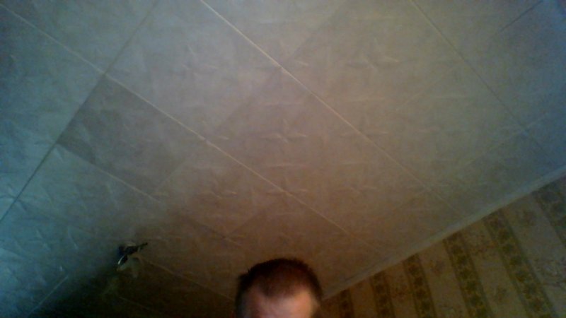 Знакомство. Фото. Нажмите, чтобы увеличить