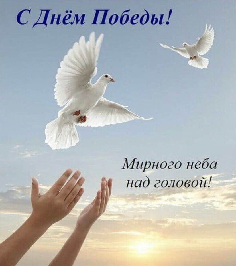 Знакомство. Фото. Нажмите, чтобы увеличить