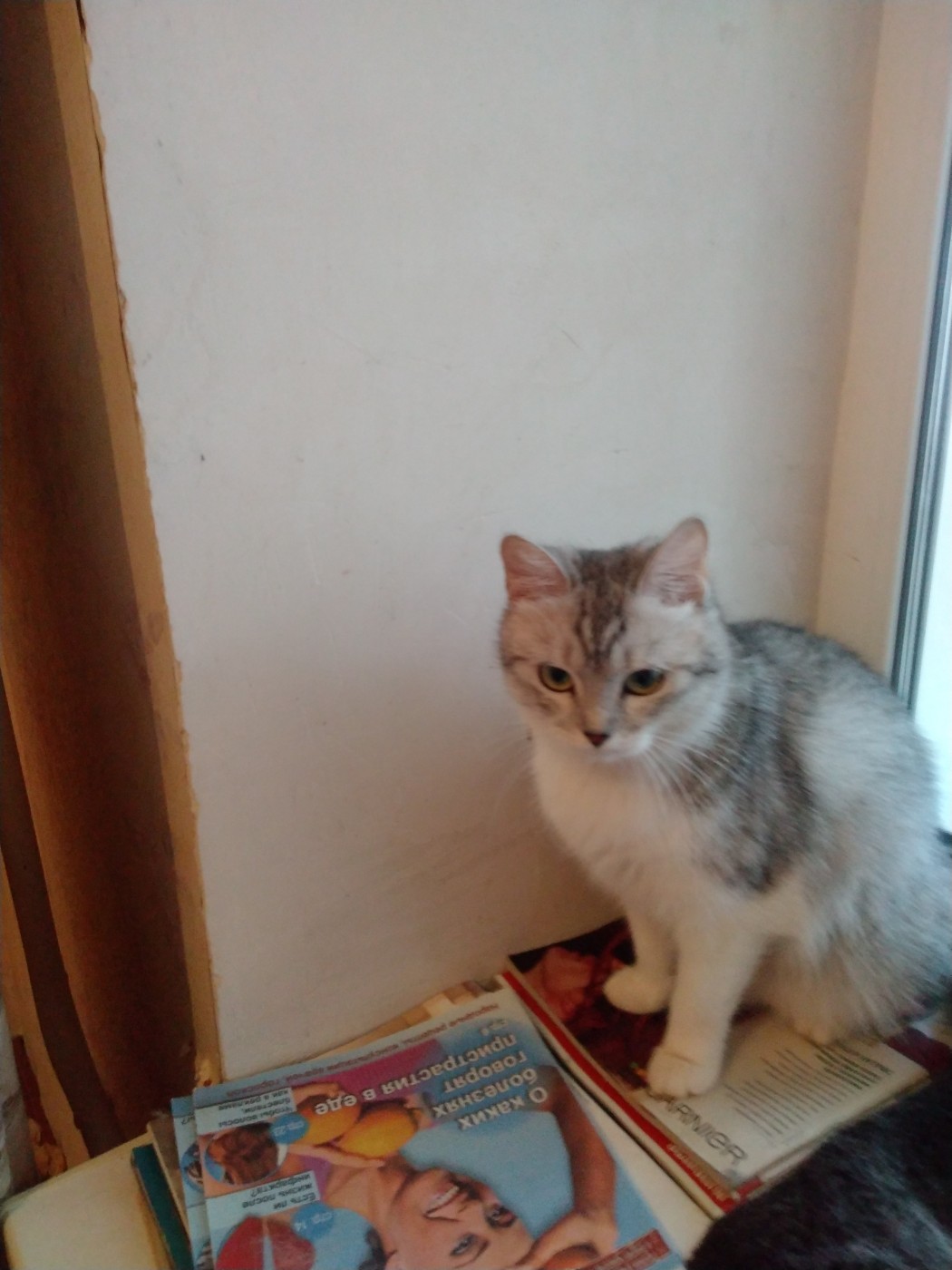 Знакомство. Фото. Нажмите, чтобы увеличить