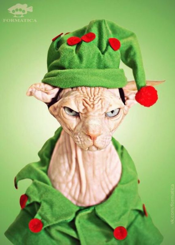 Знакомство. Фото. Нажмите, чтобы увеличить