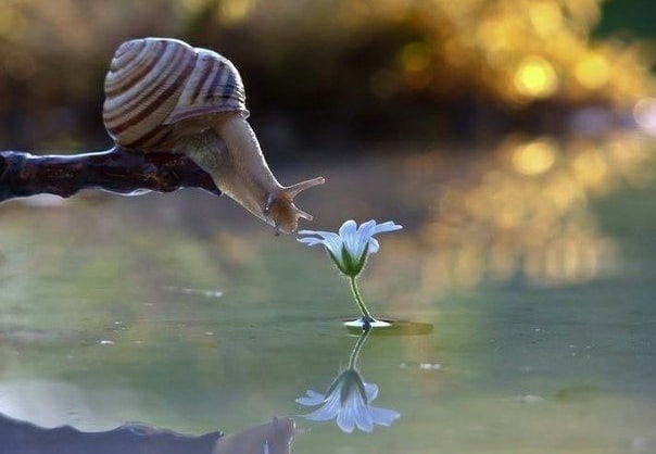 Знакомство. Фото. Нажмите, чтобы увеличить