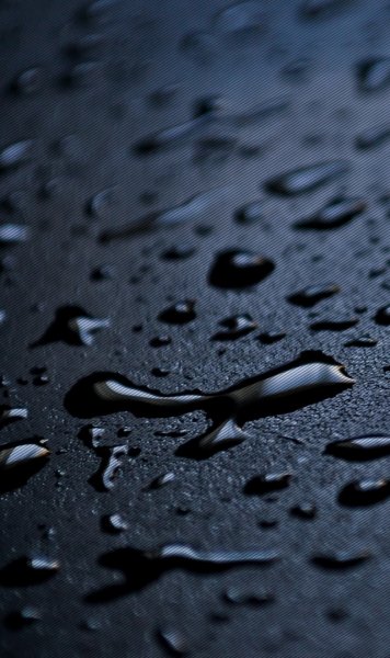 Знакомство. Фото. Нажмите, чтобы увеличить