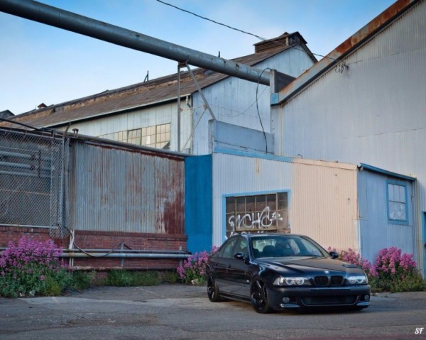 Знакомство. Фото. Нажмите, чтобы увеличить