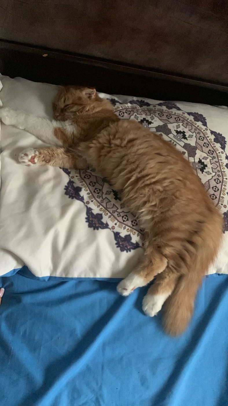 Фото девушка Станислав