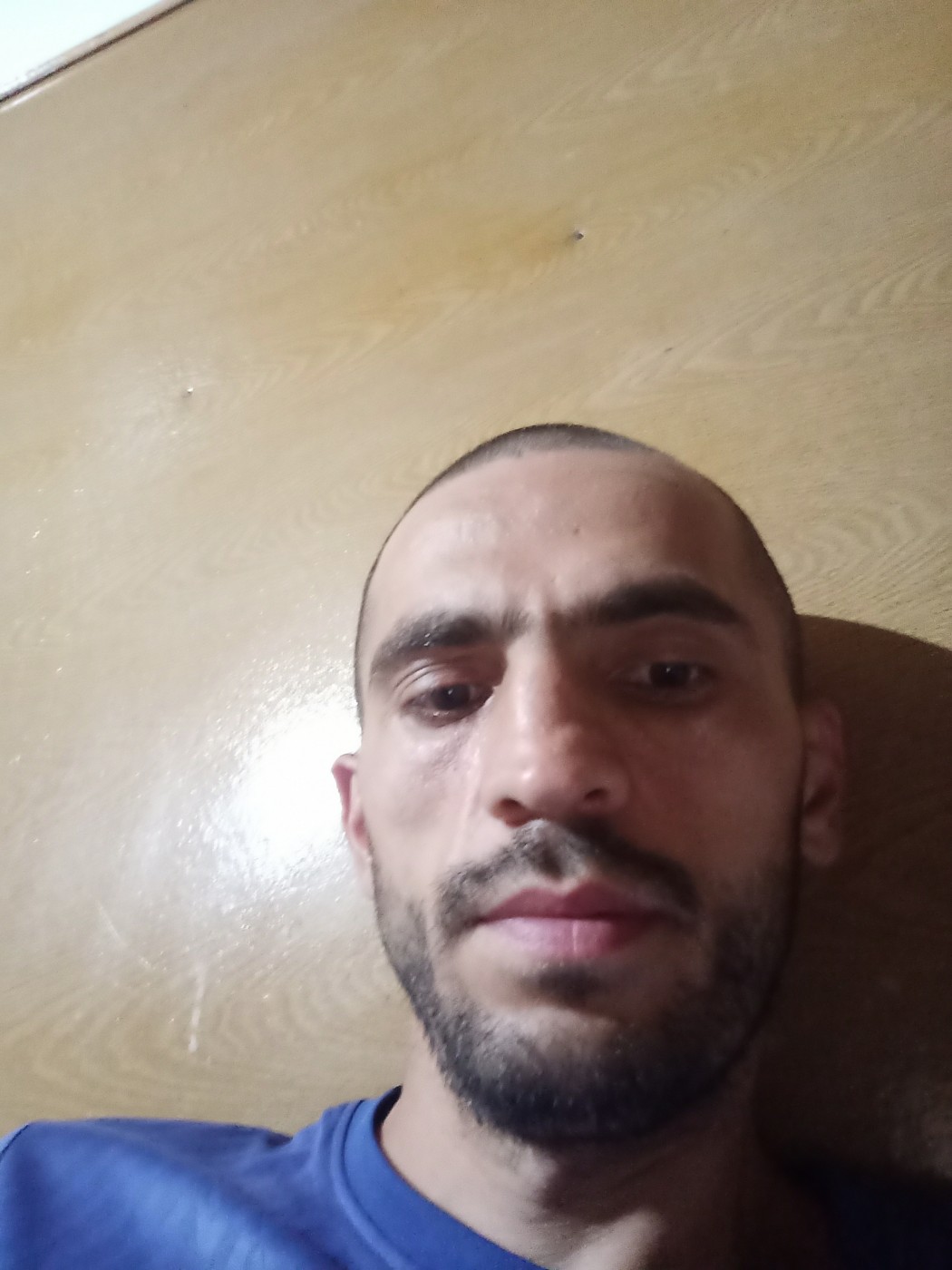 Знакомство. Фото. Нажмите, чтобы увеличить