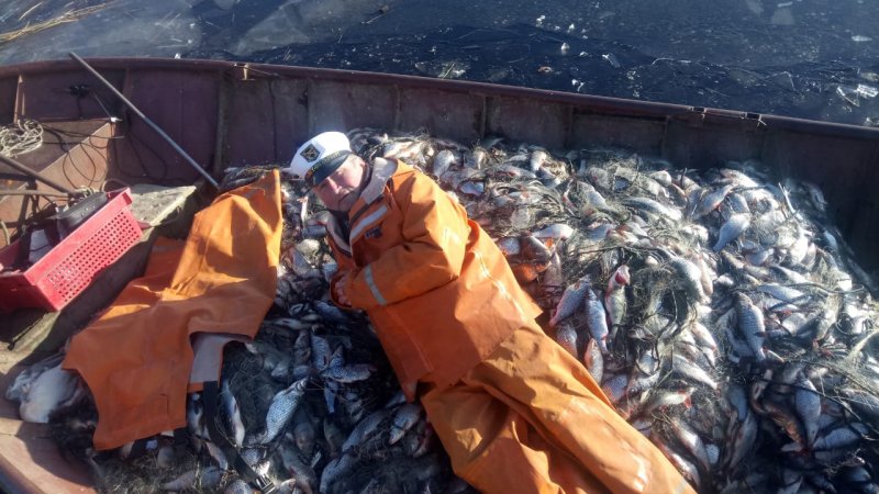 Знакомство. Фото. Нажмите, чтобы увеличить