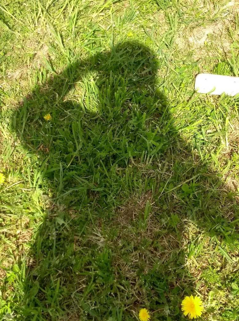 Знакомство. Фото. Нажмите, чтобы увеличить