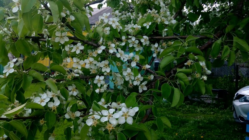 Знакомство. Фото. Нажмите, чтобы увеличить