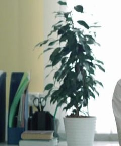 Знакомство. Фото. Нажмите, чтобы увеличить