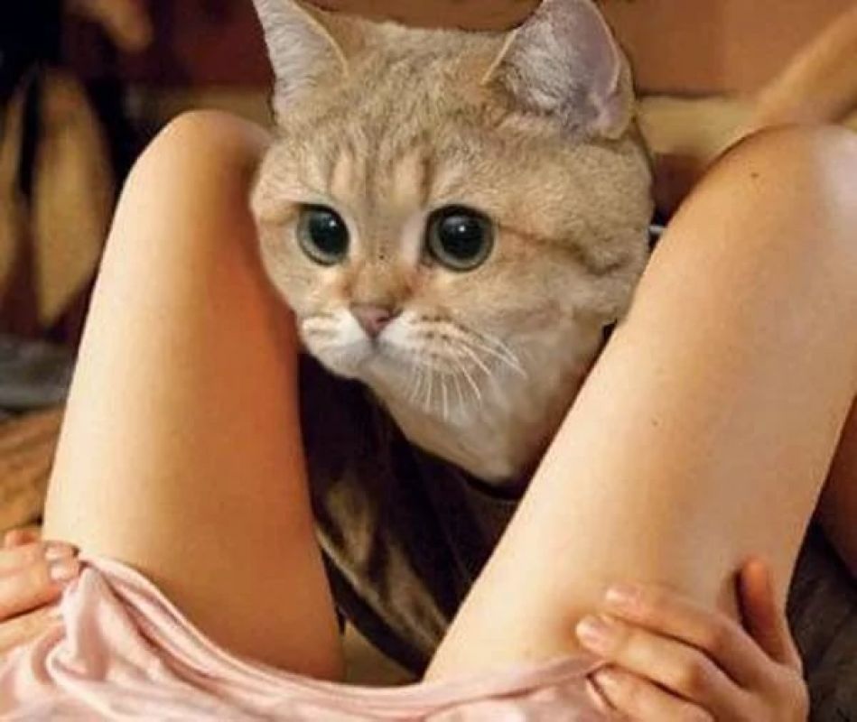 Знакомство. Фото. Нажмите, чтобы увеличить