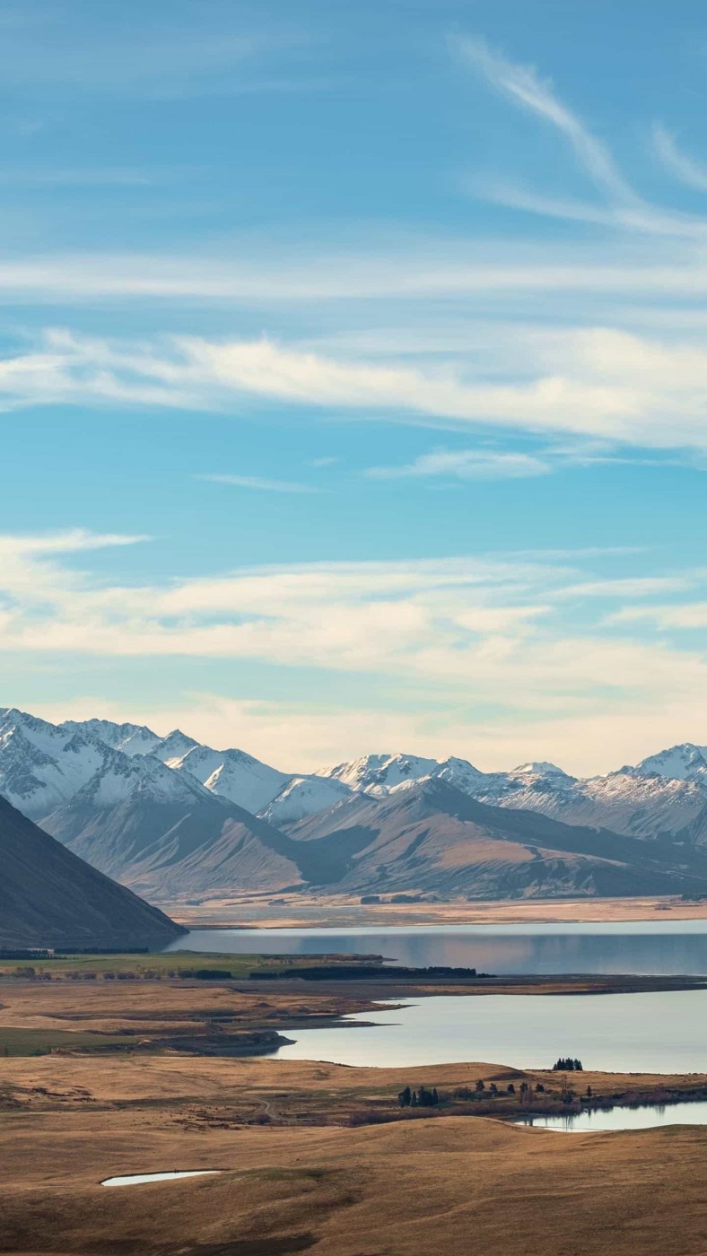 Знакомство. Фото. Нажмите, чтобы увеличить