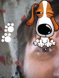 Знакомство. Фото. Нажмите, чтобы увеличить