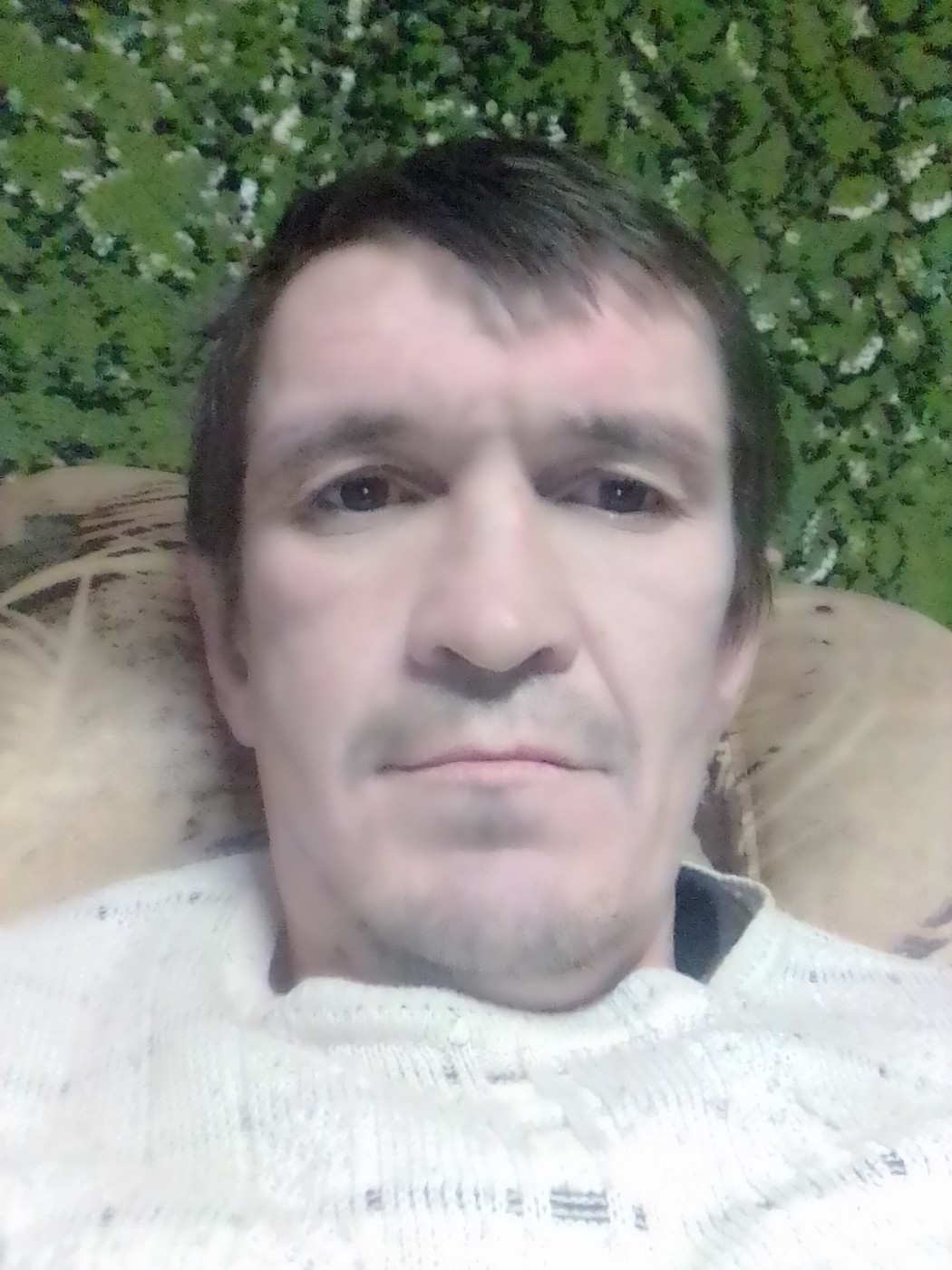 Знакомство. Фото. Нажмите, чтобы увеличить