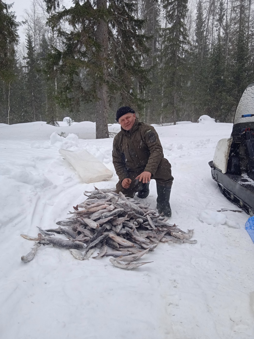 Фото девушка Алексей