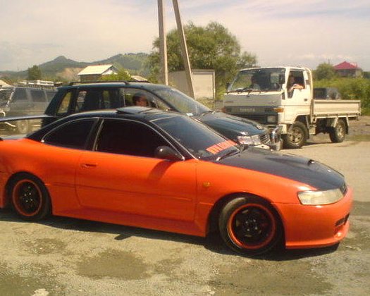 Знакомство. Фото. Нажмите, чтобы увеличить