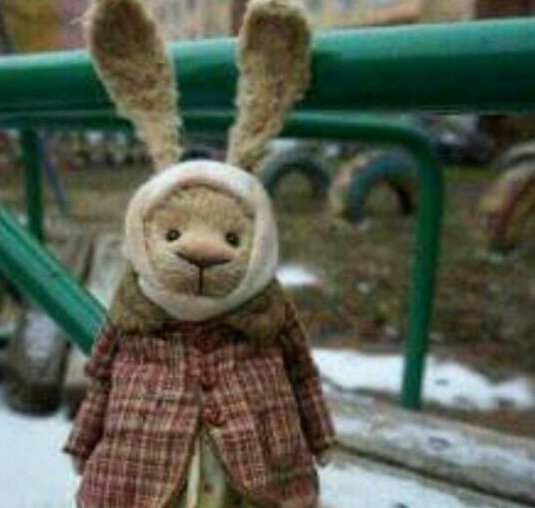 Знакомство. Фото. Нажмите, чтобы увеличить