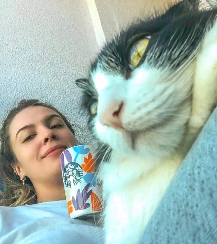 Фото девушка Staller