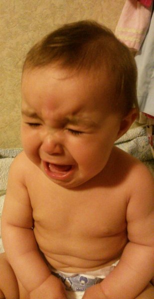 Знакомство. Фото. Нажмите, чтобы увеличить