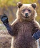 Фото девушка Ereke