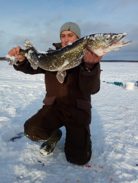 Знакомство. Фото. Нажмите, чтобы увеличить