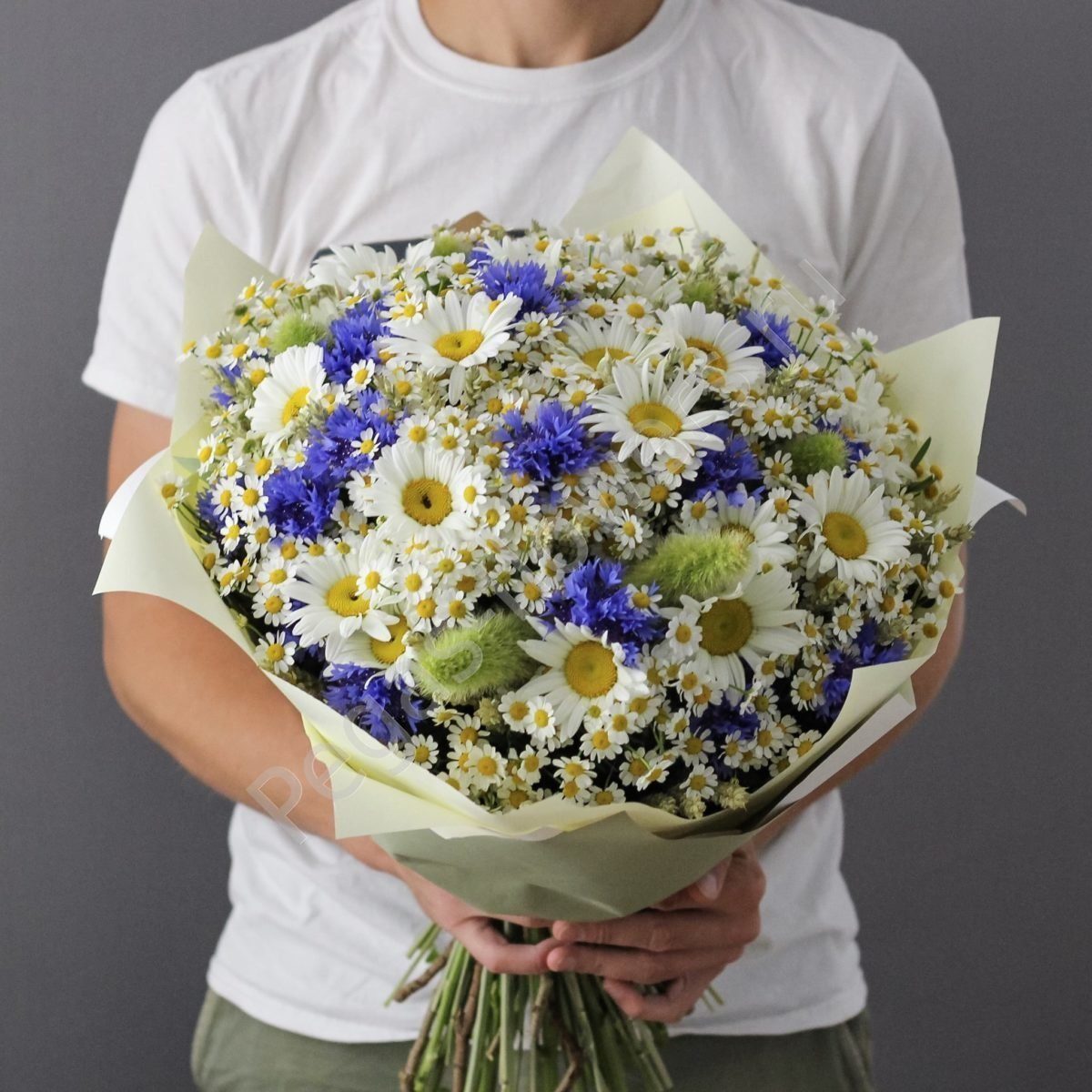 Знакомство. Фото. Нажмите, чтобы увеличить