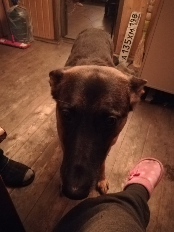 Знакомство. Фото. Нажмите, чтобы увеличить