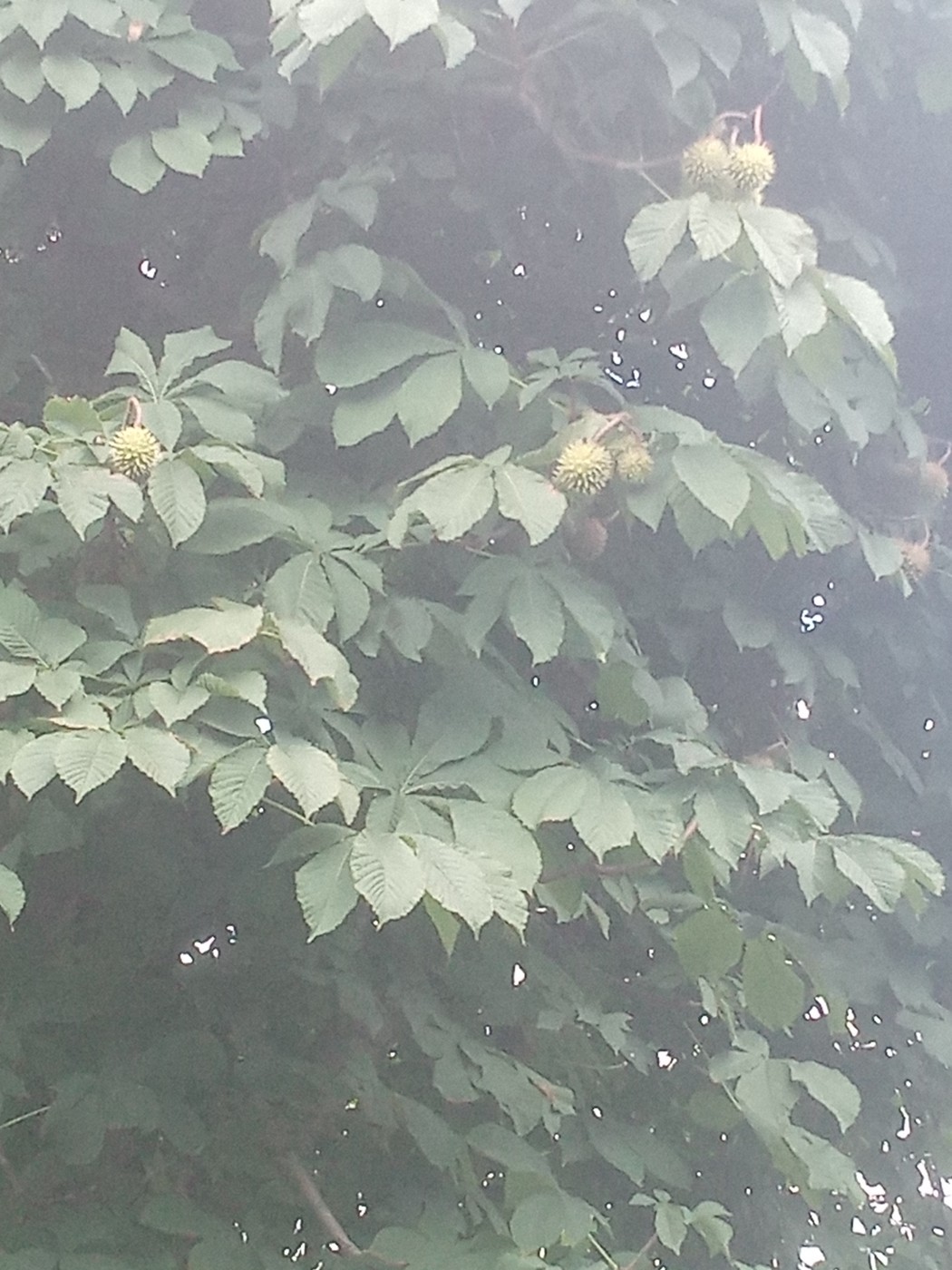 Фото девушка Даниил