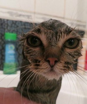 Знакомство. Фото. Нажмите, чтобы увеличить