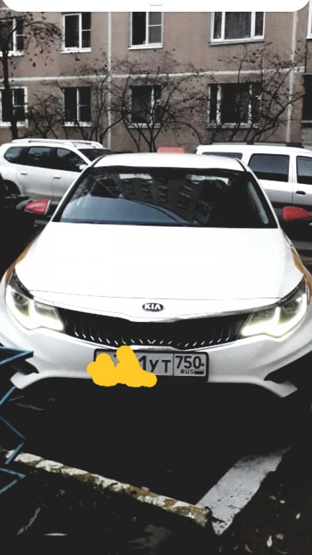 Знакомство. Фото. Нажмите, чтобы увеличить