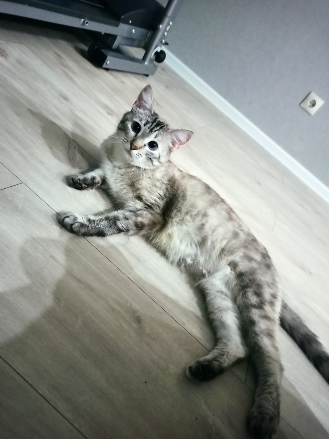 Знакомство. Фото. Нажмите, чтобы увеличить