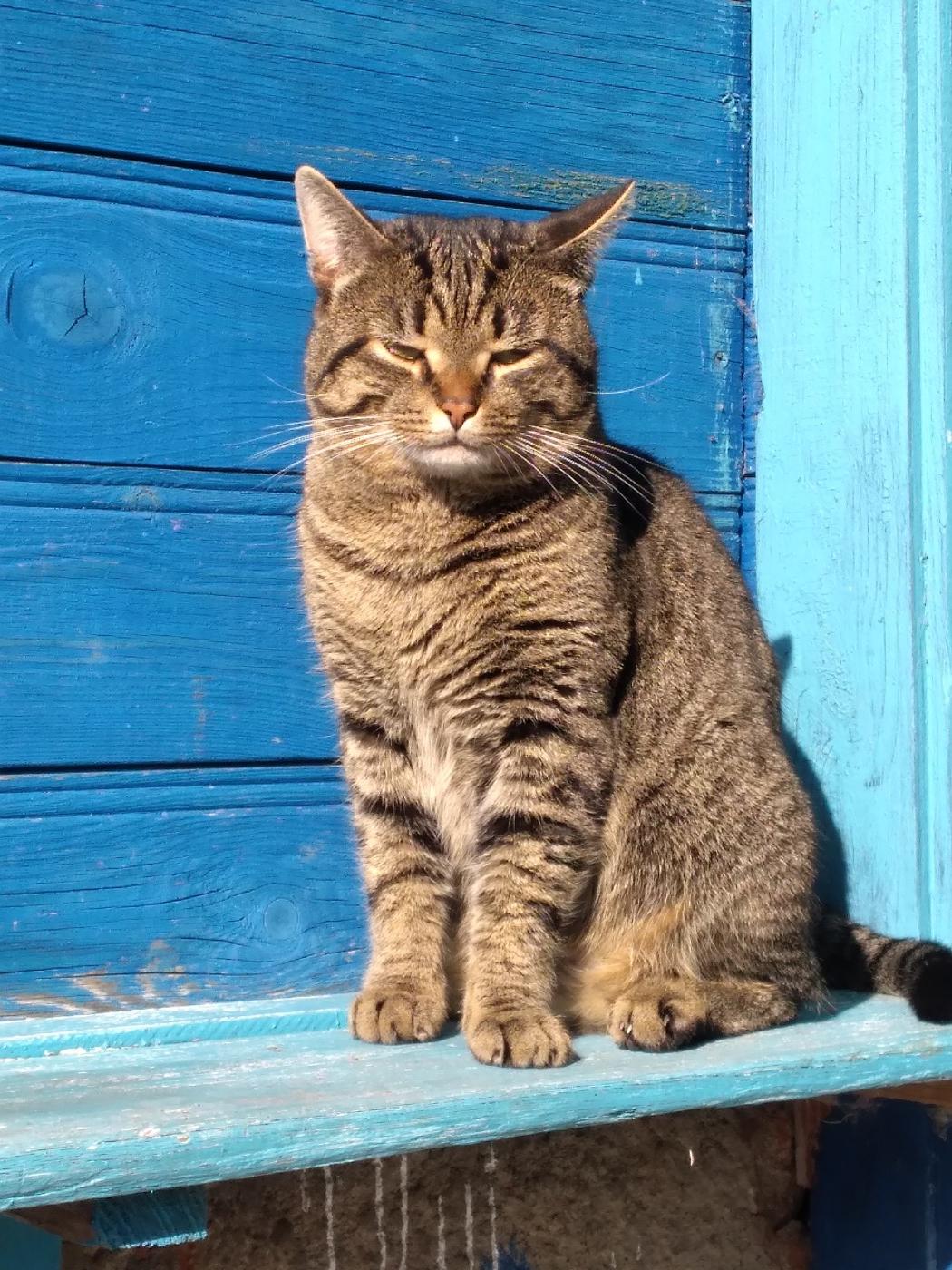 Фото девушка Сергей