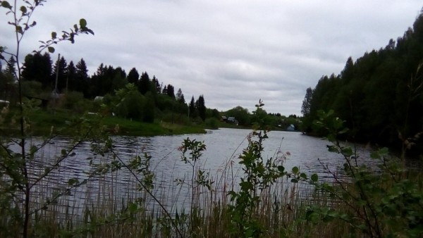 Знакомство. Фото. Нажмите, чтобы увеличить