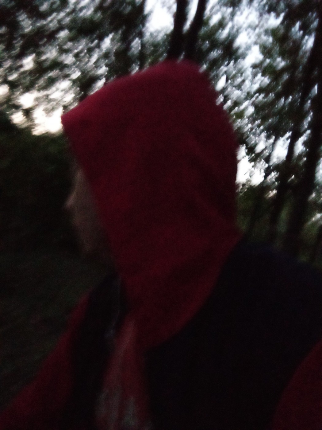 Знакомство. Фото. Нажмите, чтобы увеличить