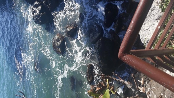 Знакомство. Фото. Нажмите, чтобы увеличить