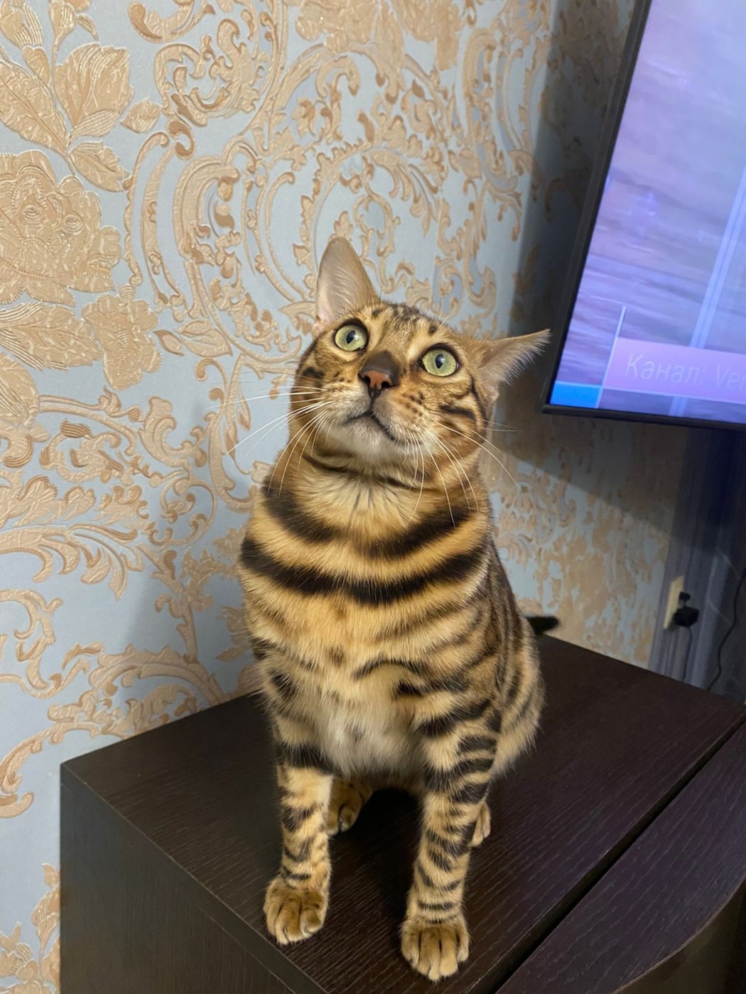 Знакомство. Фото. Нажмите, чтобы увеличить