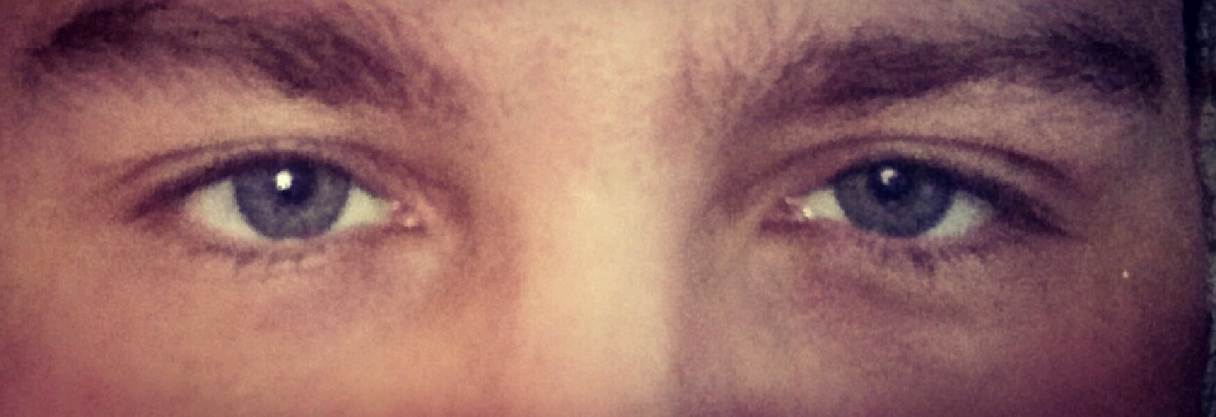 Знакомство. Фото. Нажмите, чтобы увеличить